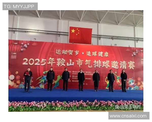 刘娜独家分享排球心得与技巧助你提升球技的全方位指南